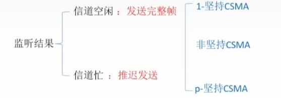 image-20240313164554308